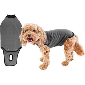 BellyGuard – After Surgery Dog Recovery Onesie